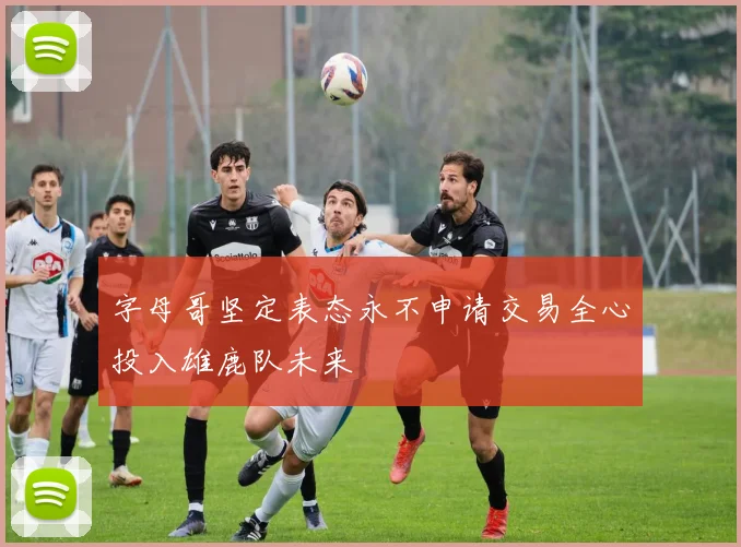 字母哥坚定表态永不申请交易全心投入雄鹿队未来