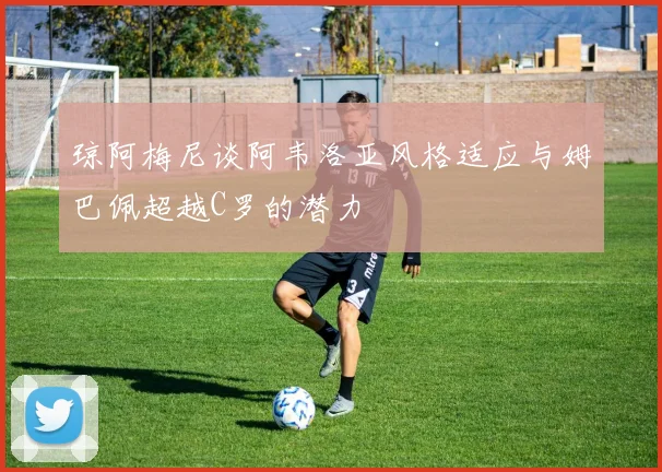 琼阿梅尼谈阿韦洛亚风格适应与姆巴佩超越C罗的潜力