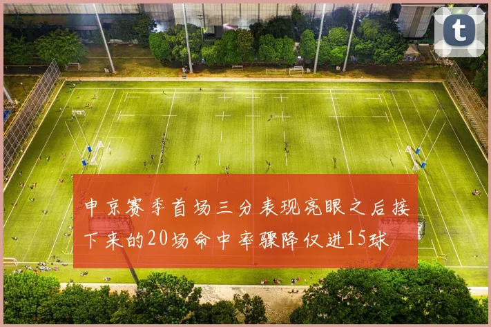 申京赛季首场三分表现亮眼之后接下来的20场命中率骤降仅进15球