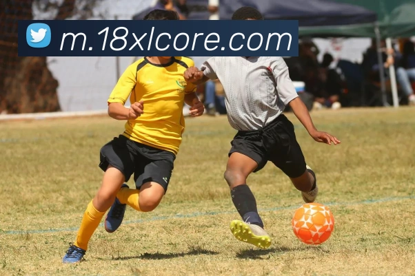 18新利发展历程