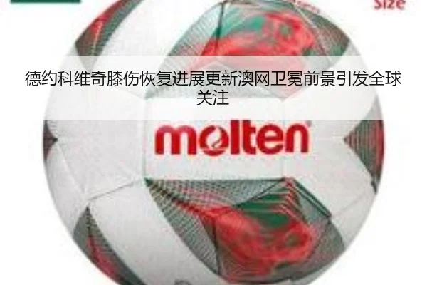 德约科维奇膝伤恢复进展更新澳网卫冕前景引发全球关注